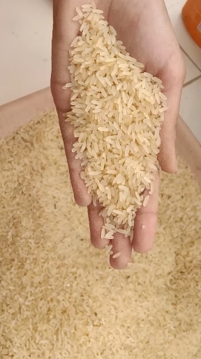 rice