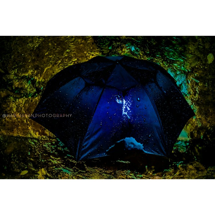 ||| •Wet Umbrella• |||