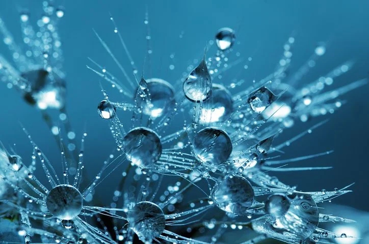 droplets