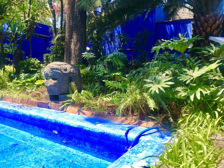 Jardín en la Casa Azul
