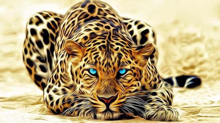 the tiger