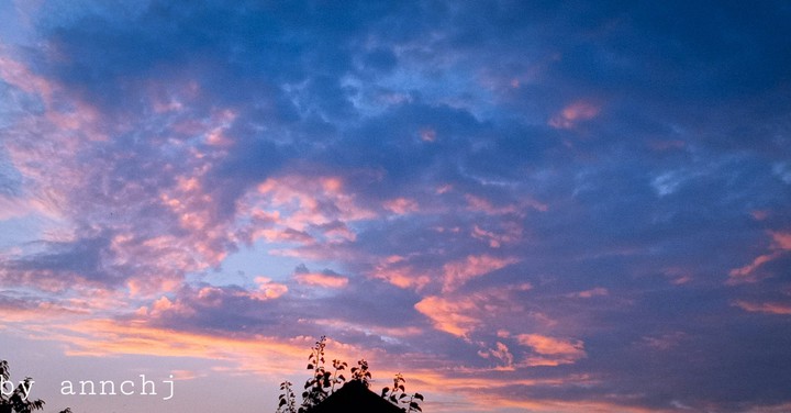 Waiting for the sun