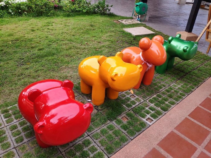 animal multi colour