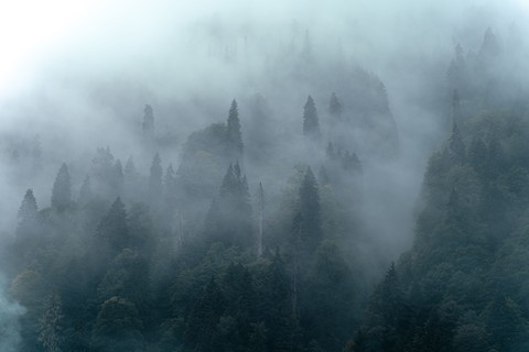 mist, fog háttérképek