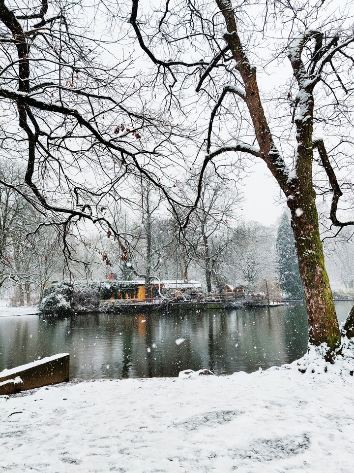 Winter