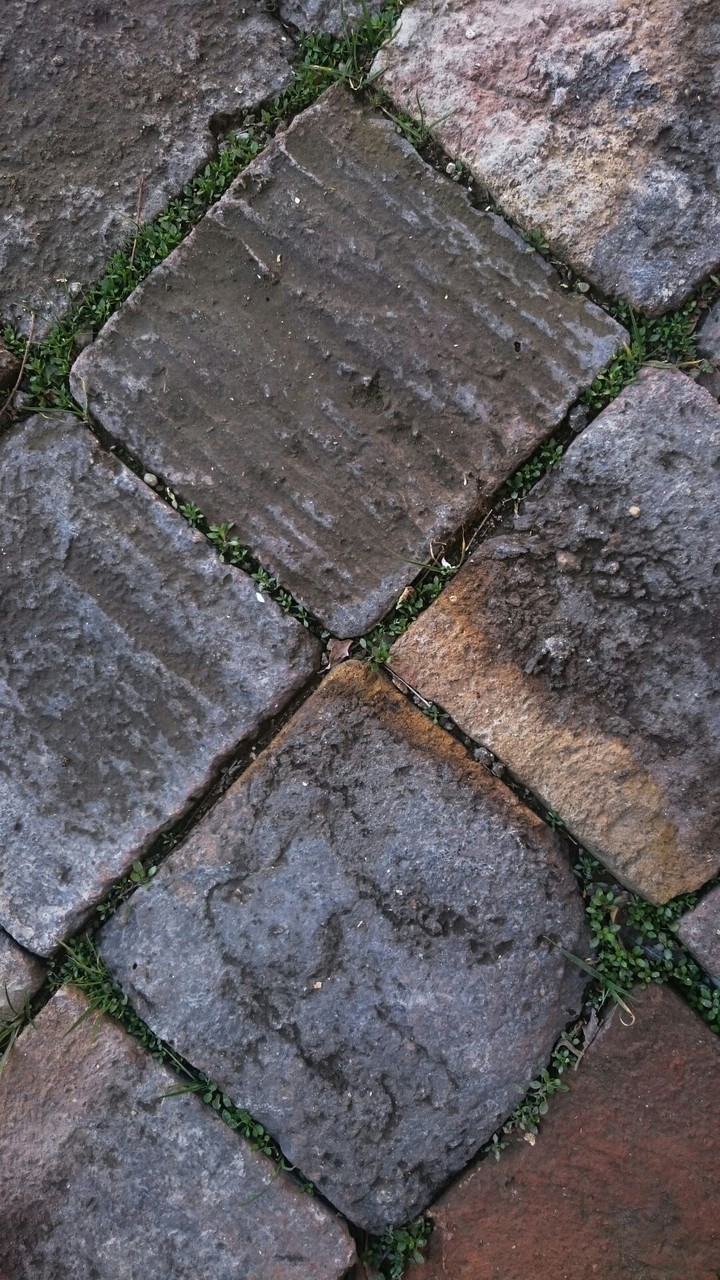 Pattern