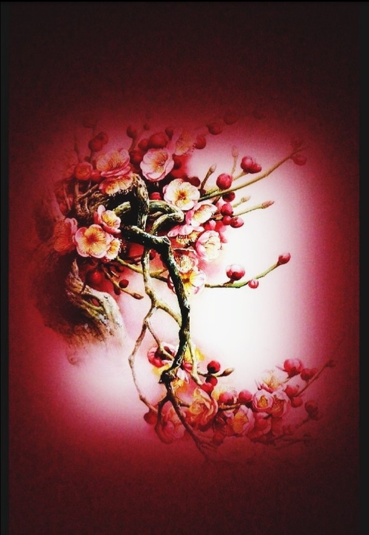 design;by me
