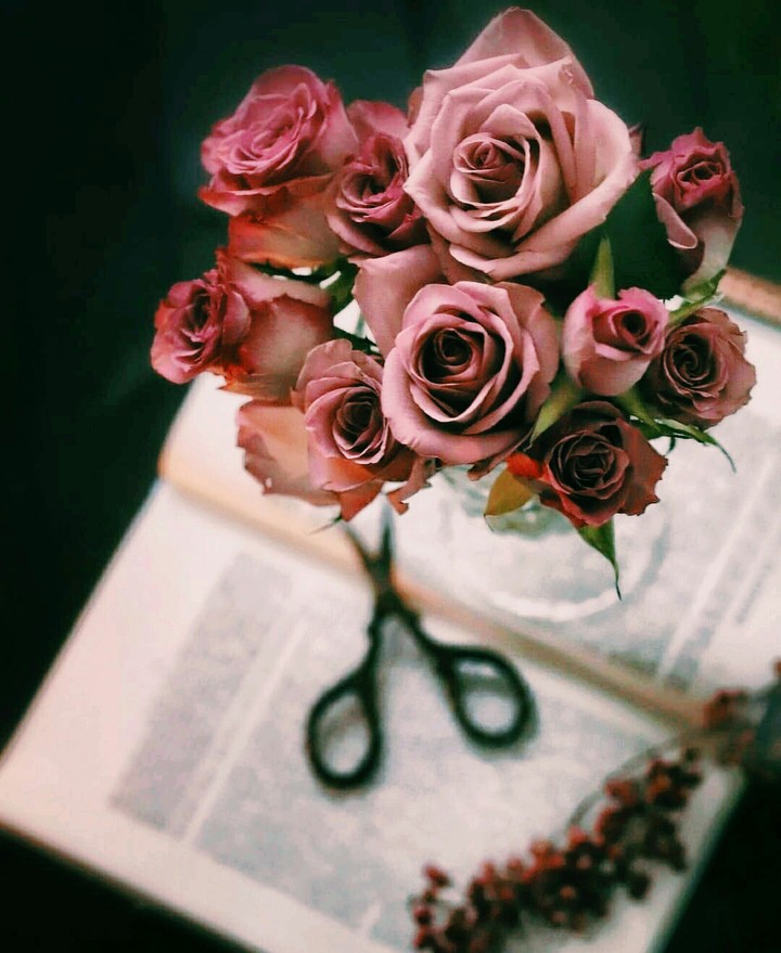 Wallpaper Of The Day ❤️