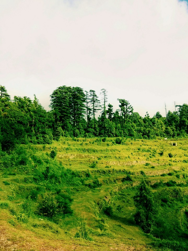Hill