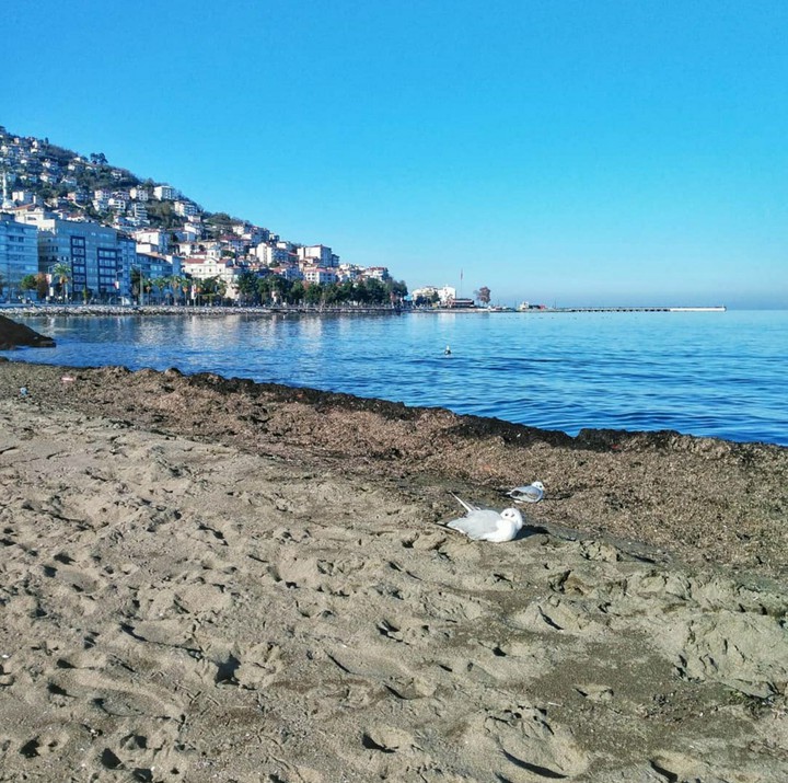 Ordu/Turkey