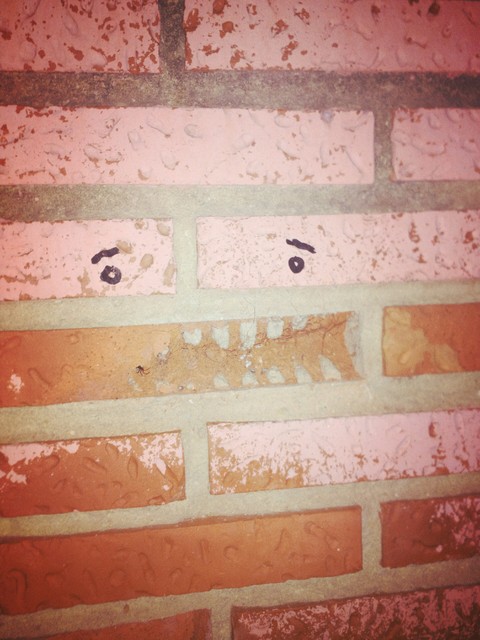 The wall