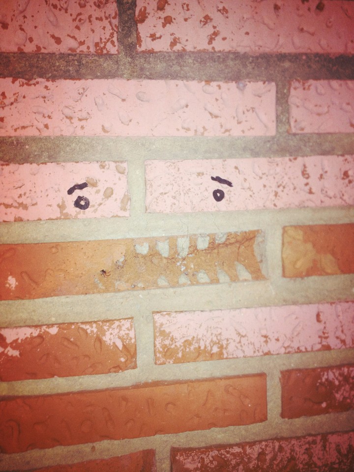 The wall