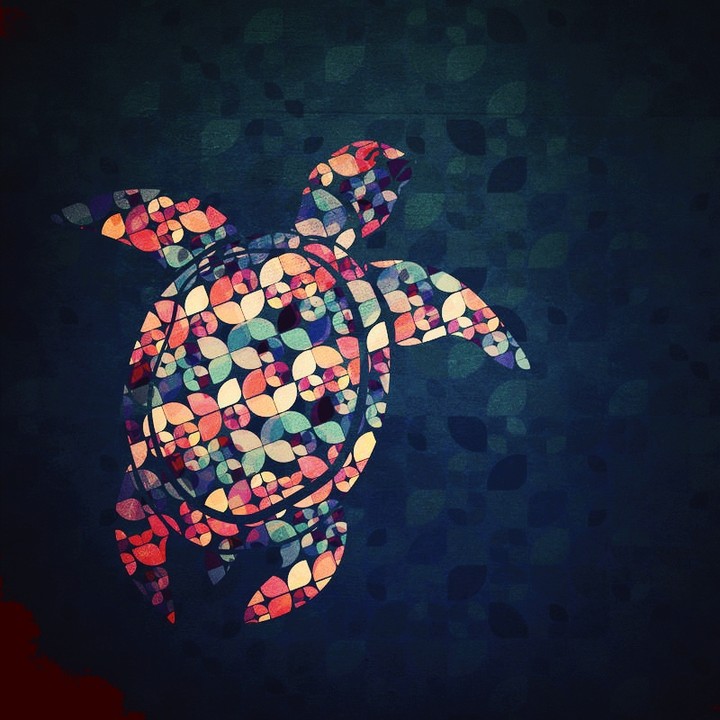 Turtle light