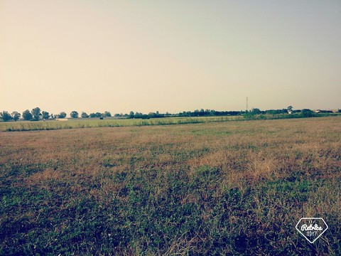 nature nice
