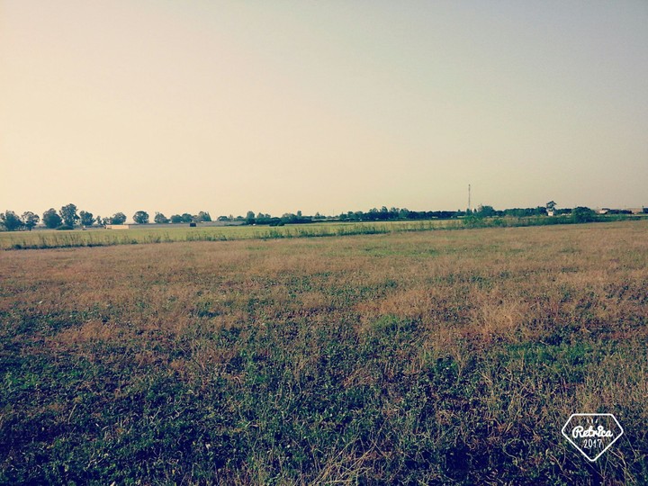 nature nice