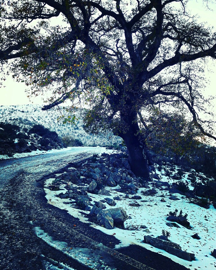 Winter beauty