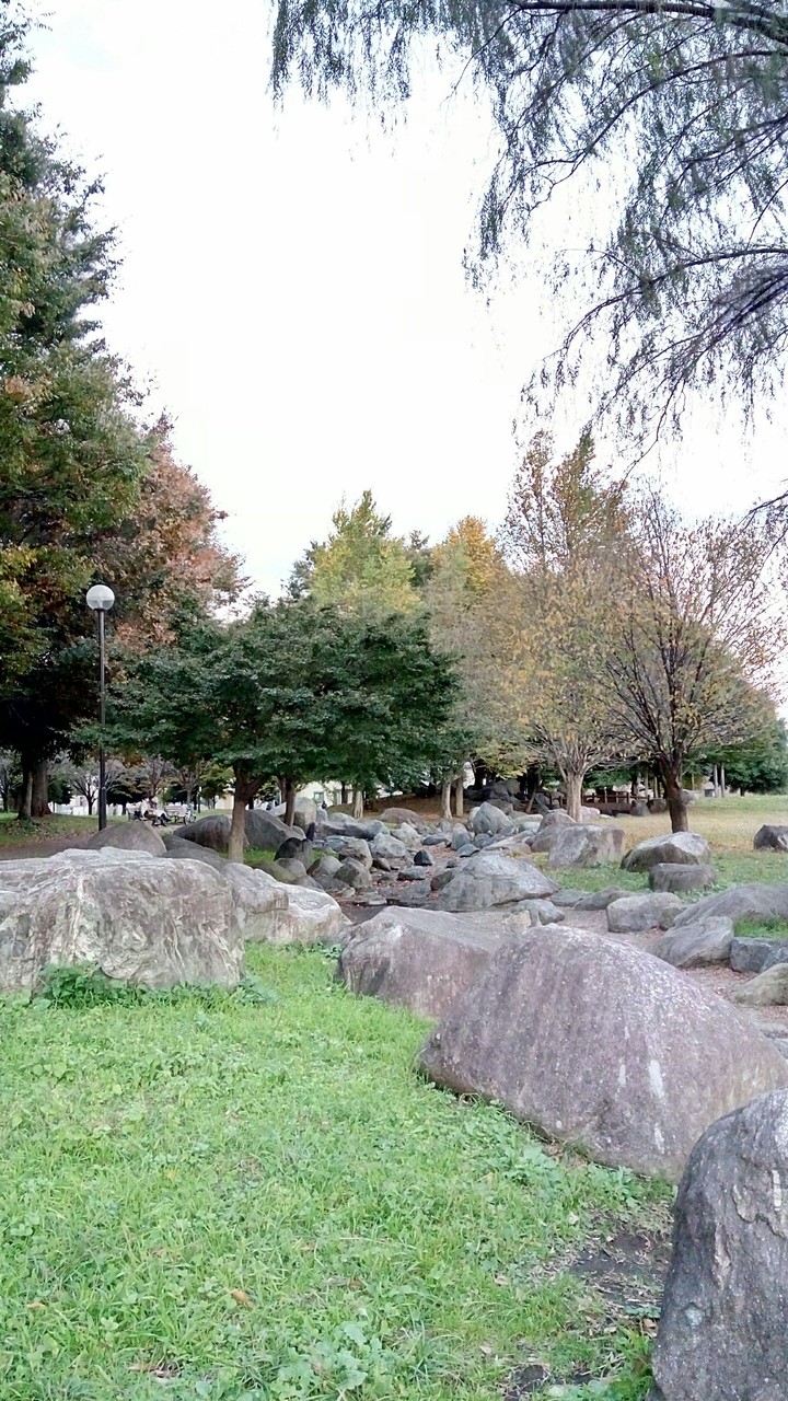 park