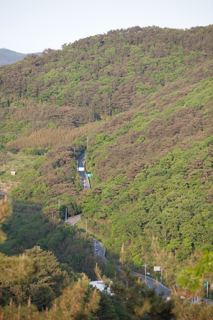 Mountain