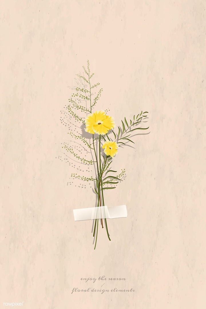 flower / spring || цветок / весна
