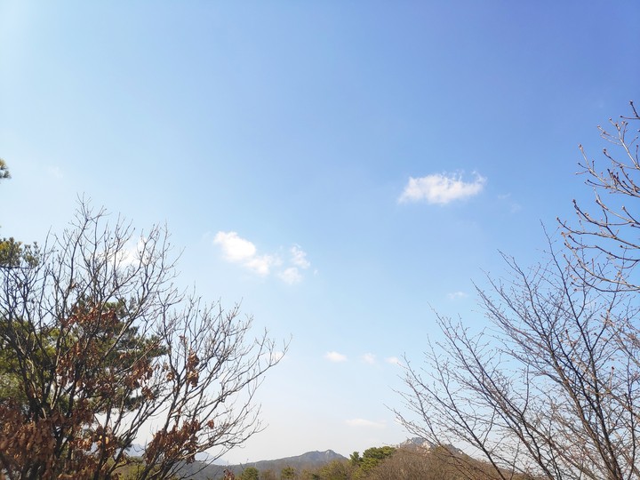 미세먼지 없는 하늘~~