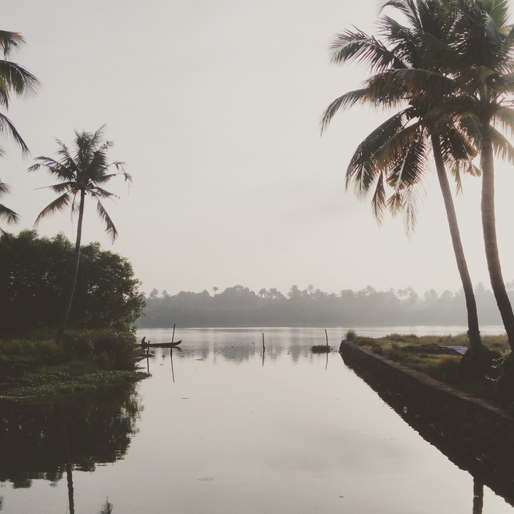 kerala backwater