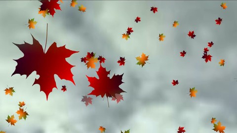 Autumn leaves