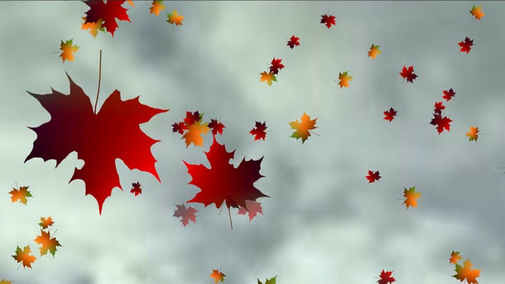 Autumn leaves