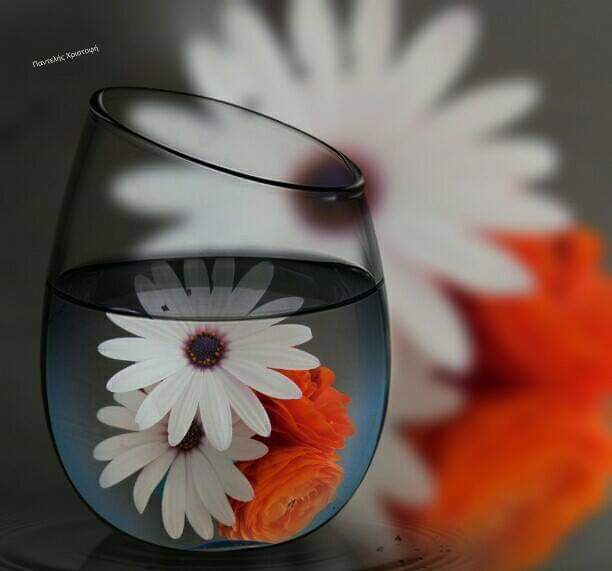 pantelis photography