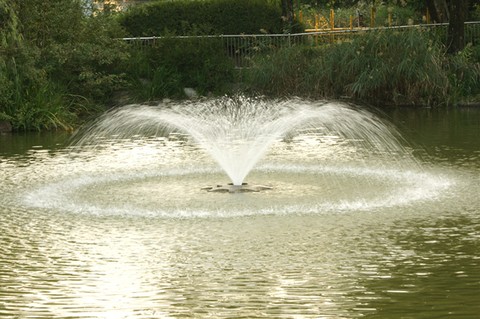 Fountain