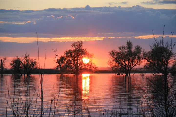 Sunset