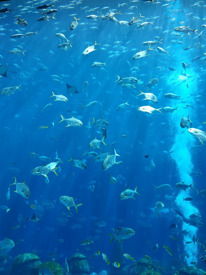 Atlantis Hainan