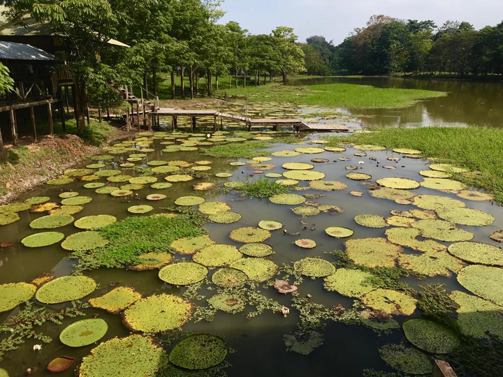 amazonas Colombia