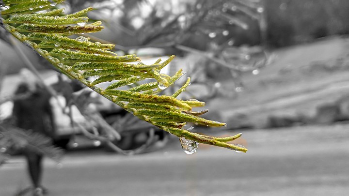 Rain Drop