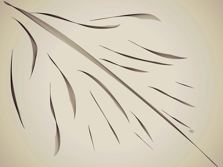 v.s design.