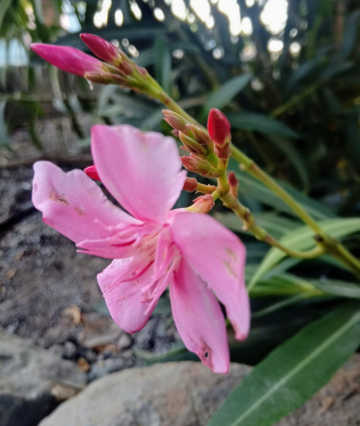 #nature...