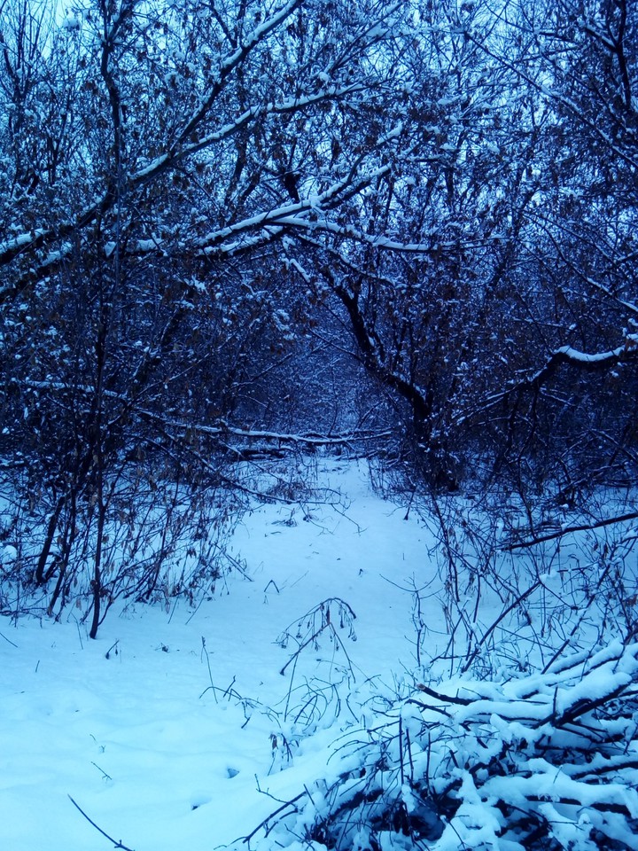 зима