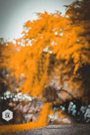 Nice background