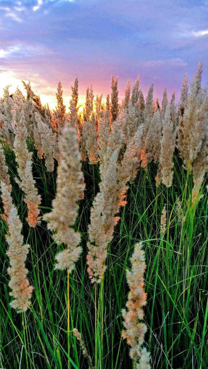 Sunset over hill