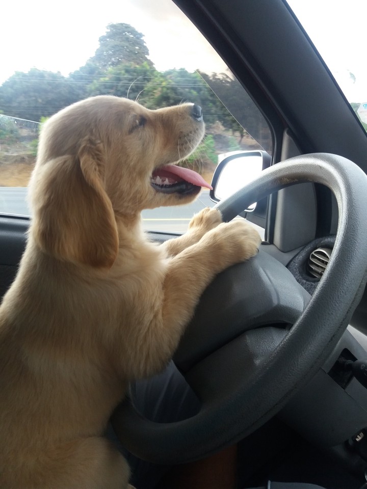 I'm coming home
