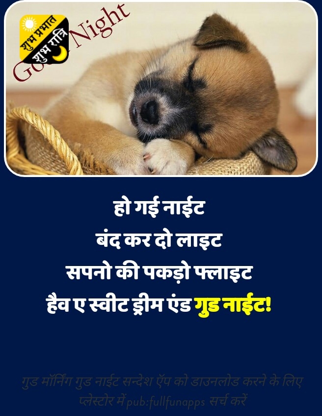 good night