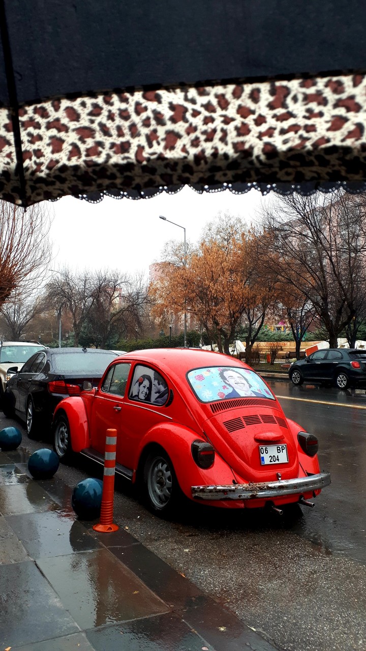 A cute car ♡