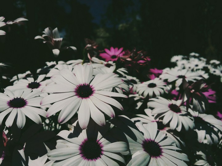 Spring's here!