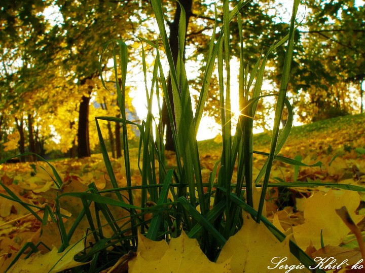 Ukraine.Vyshgorod