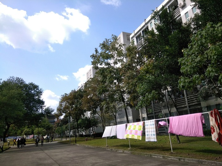 nice weather