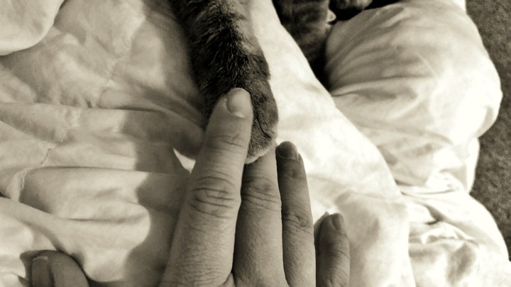 hold my hand