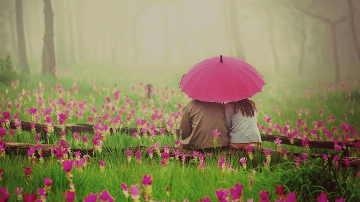 love