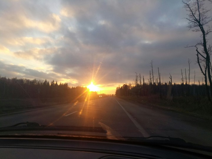 осень, дорога,солнце