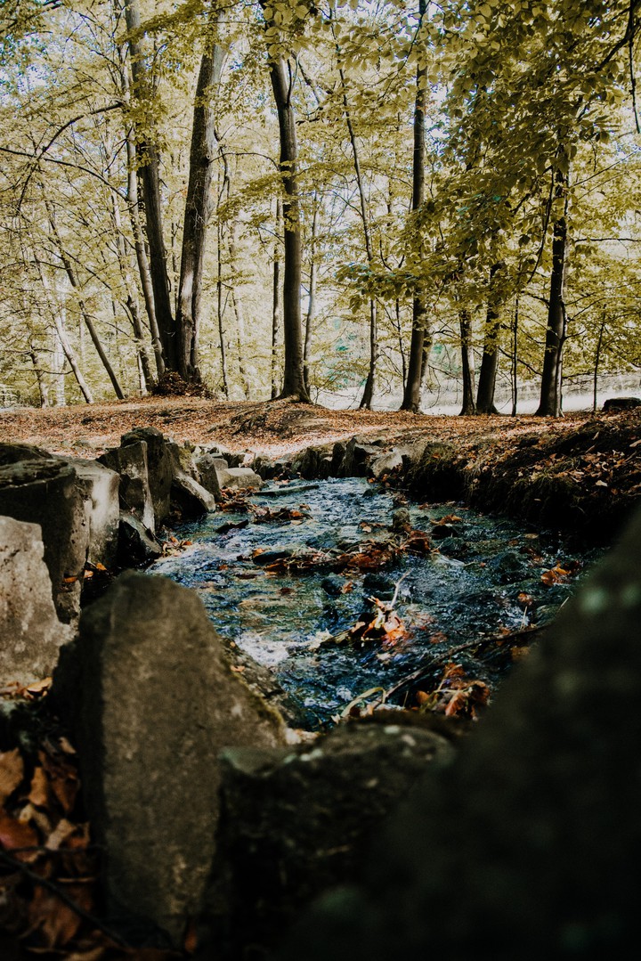 nature