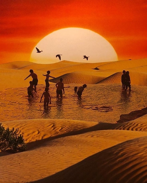 sfondi camel, ecoregion