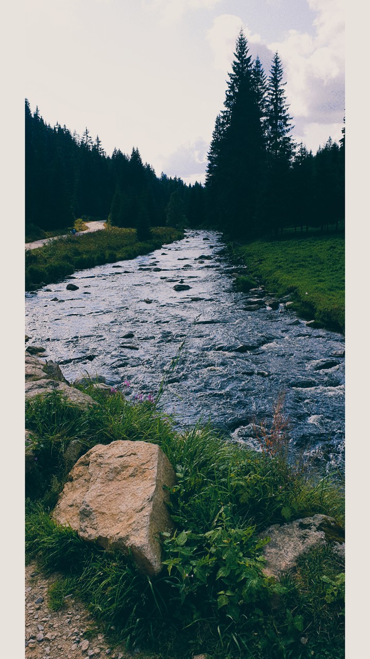 Modrava